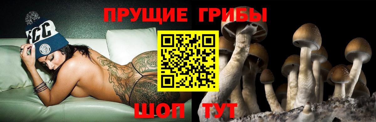 Галлюциногенные грибы ЛСД  Вход с VPN  Качканар 